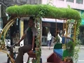 A Man Growing Mini Garden On The Roof Of Rickshaw Amazes Netizens