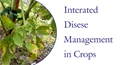 INTEGRATED DISEASE MANAGEMENT IN CROPS