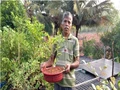 This Farmer is Growing Jasmine and Chikoo on His Terrace By Using Cost-Effective Hydroponic Systems