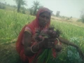 Rajasthani Tribal Women are the Torchbearers of Natural Farming