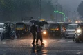 IMD Issues Heavy Rainfall and Hailstorm Alert in These States