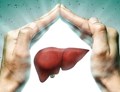 World Liver Day 2022: Need & Importance of Celebrating This Day