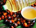 Edible Oil Industry Seek Hike in Import Duty Gap Between Crude & Refined Palm Oil