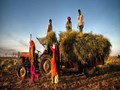 Ministry of Agriculture Starts Campaign To Highlight Farm Sector Accomplishments