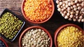 Summer Crop Sowing Remains Ahead of Last Year, Pulses Area Up by 53%