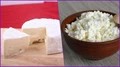 Cheese vs Paneer: Which is Healthier For You?