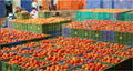 Study Gives Clues on How to Reduce Food Loss & Waste in Perishable Supply Chains