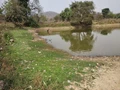 Haryana is All Set to Inaugurate 111 Ponds Under Amrit Sarovar Scheme on May 1