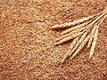 India's Wheat Export Boom Brings a Bonanza to Growers