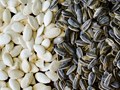 Sunflower Vs. Pumpkin Seeds: Which One is Better?