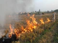 Stubble Burning On Rise As Farmers Prepare For The Next Harvest