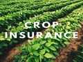 Crop Insurance: What Are the Benefits & How To Claim It?