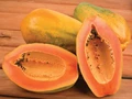 Papaya Farming: A Complete Guide To Select The Best Fertilizer To Have Finest Papayas