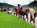 Farmers Practicing Collective Farming Received Agri Equipment Worth Rs. 5,67,400