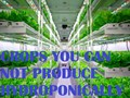 Hydroponic Farming: Crops that Cannot be Grown in a Hydroponic System