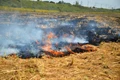 Complaint Filed Against Ludhiana Farmers for Stubble-Burning