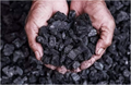 MP Govt Issues Rs700 Crore Tender to Import Coal for Supply of Power to Farmers