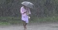 Monsoon Update: High Alert in Kerala after Pre-monsoon Rains; Heatwaves to Continue in These States