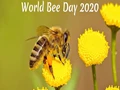 World Bee Day 2022: Know the History & Importance of Celebrating This Day