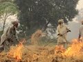 Crop Residue Burning in India: Policy Challenges and Potential Solutions