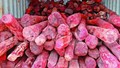 Red Sanders Worth Rs. 11.70 crore Seized by DRI Under ‘Operation Rakth Chandan’