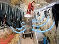 Smart Dairy Farming: How Cow Milking Machine Can Double Farmer’s Income