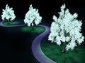 Understanding the Science Behind Bioluminescent Plants
