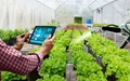 Use of Agricultural Technology Opens Possibility of Digital Havoc