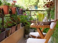 Gardening Tips: Easy Tricks to Water Your Plants Even When You Are Not Around