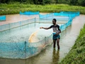 Small-Scale Fish Farming - Problems and Prospects