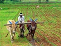 Tomar Advises AP Farmers to Switch to Natural Farming