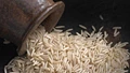 Fortified Rice Helps in Preventing Cretinism & Brain damage, say Experts