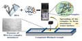 Scientists Developed Ultra-Thin Heteroprotein Films to Expand Their Applications in Food Packaging Industries