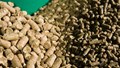 Kenya Approves Importation of GM Animal Feed Ingredients
