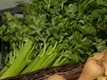 Health Benefits and Side-Effects of Celery (Ajmod)