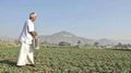 Status of Kharif crops sowing