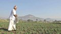 Status of Kharif crops sowing