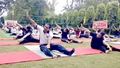 International Yoga Day Celebration at GADVASU, Ludhiana