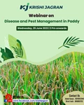 Webinar on Disease and Pest Management in Paddy