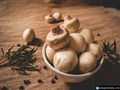 6 Incredible Benefits of Superfood Mushroom