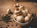 6 Incredible Benefits of Superfood Mushroom