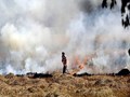 Punjab Agriculture Department Plans to Use Drones to Combat Stubble Burning