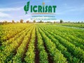 ICRISAT Recruitment 2022: Golden Opportunity to Work with a Prestigious Agri Institution, Apply Now!