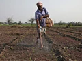 Doubling Farmers’ Income is Possible Across Agriculture Sectors: ICAR