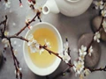 White Tea vs Green Tea: Which is Healthier?
