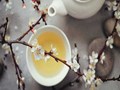 White Tea vs Green Tea: Which is Healthier?