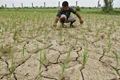 Farmers to Get Diesel Subsidy for Irrigation Purpose