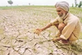Jharkhand Farmers Worry as Monsoon Rain Deficit Reaches 49%