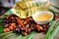 Palm Oil Prices Drop to 13-Month Low on Rising Output, Weak Export Demand