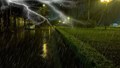 IMD Warns of Rainfall with Thunderstorms & Lightening in Delhi, UP, Haryana & Many Other States
